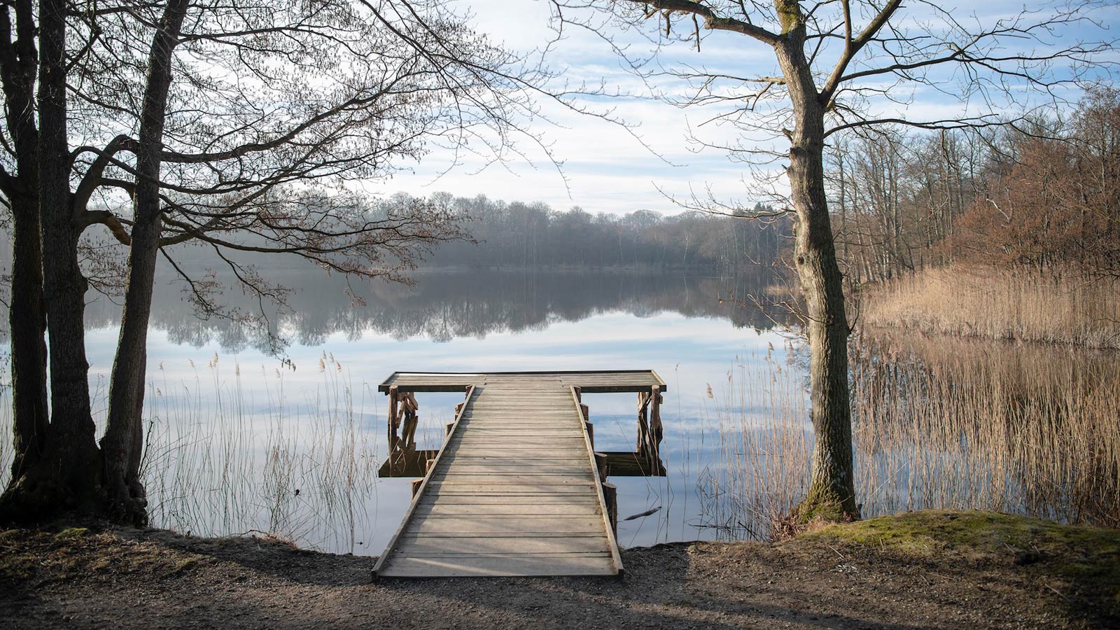 Ålsgårde
