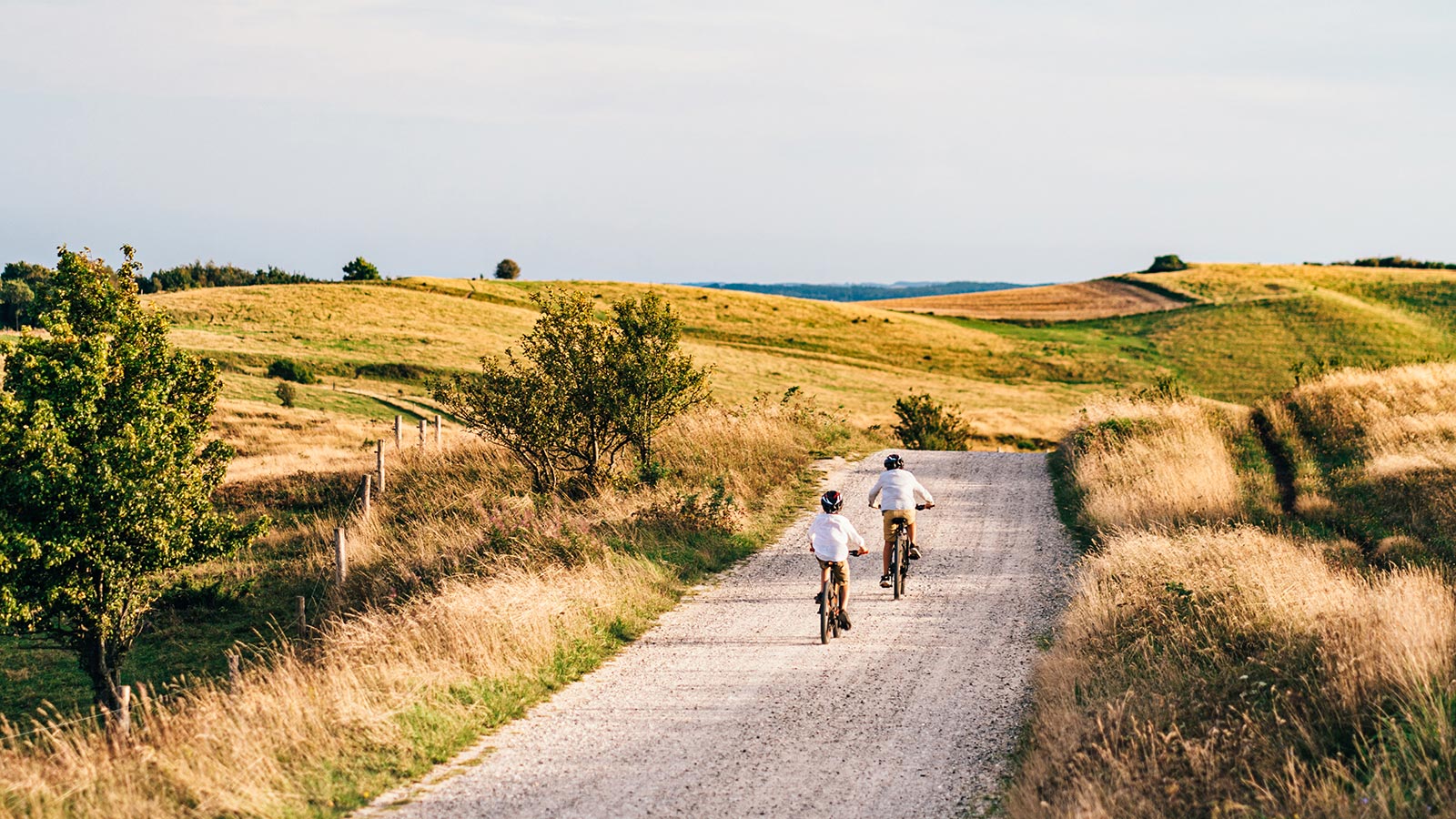 Cykling på Mols