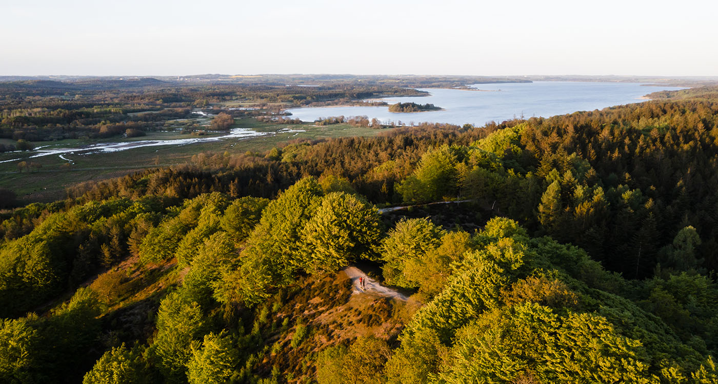 Sukkertoppen