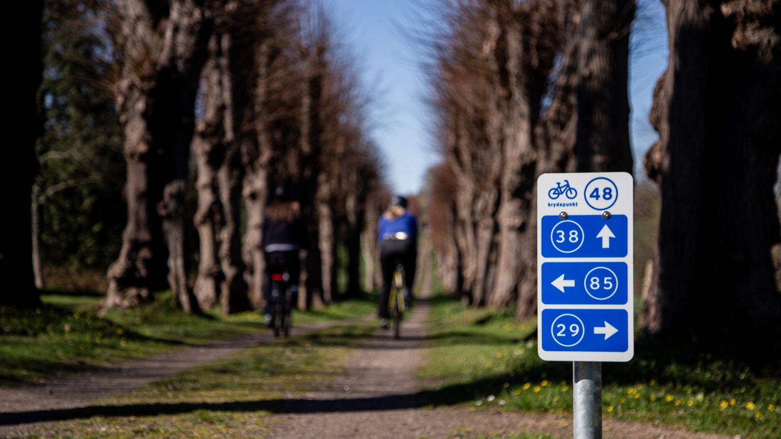 Foto af skilt fra Danmarks Rekreative Cykelnet med to cyklister på en allé