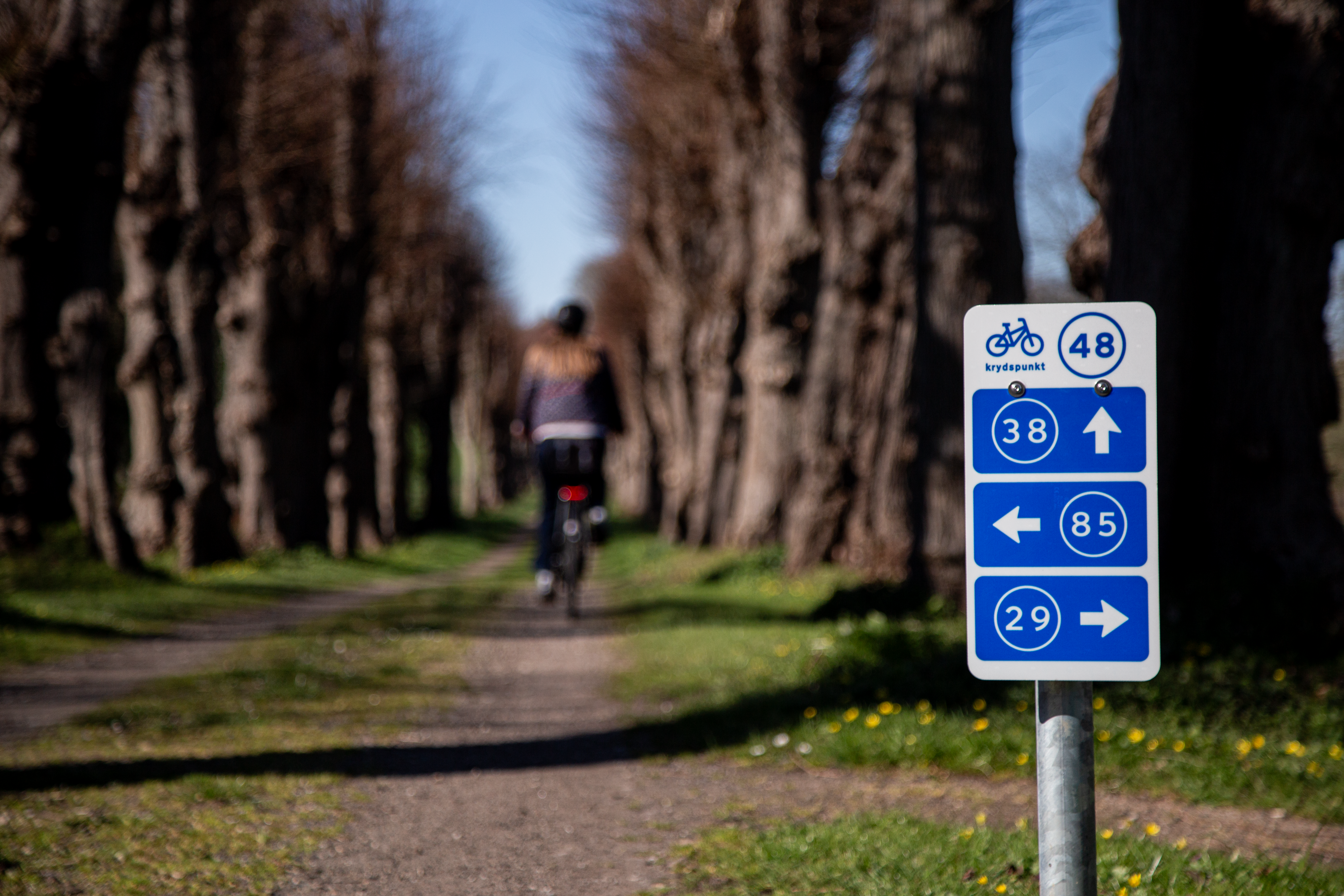 Foto af blåt og hvidt krydspunktskilt på Danmarks Rekreative Cykelnet med cyklist i baggrunden.