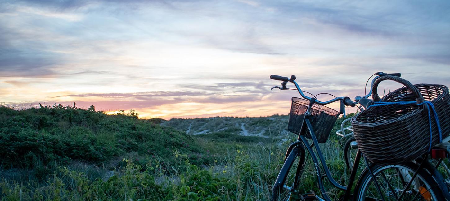 Hornbæk Strand 