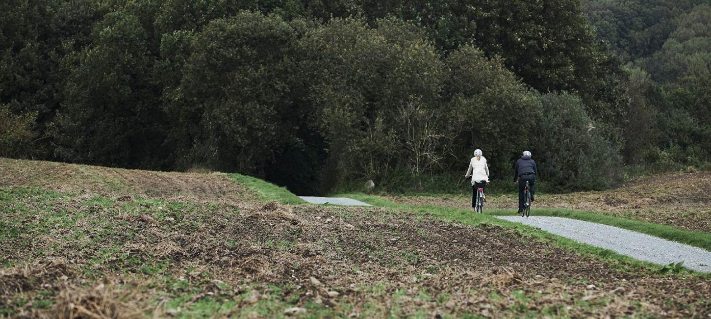 Cykling på Hærvejen