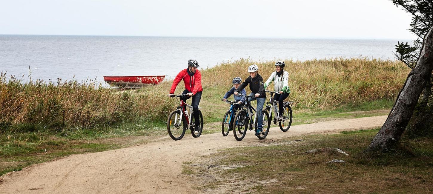 Familie på cykelsti i klitter, Holmsland Klit