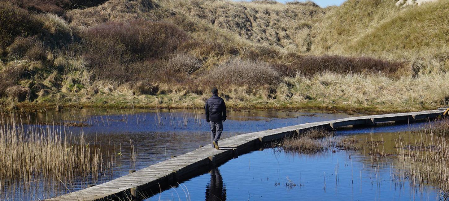 Mand på boardwalk over sø