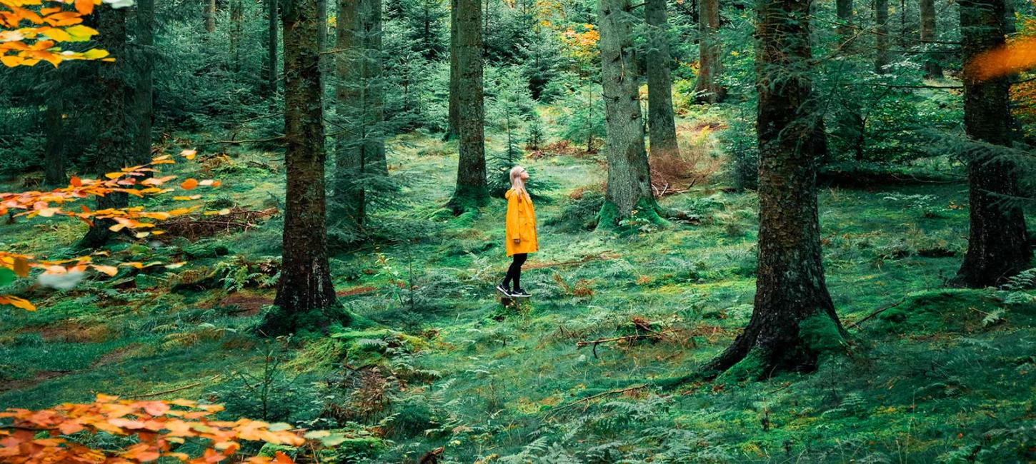 Pige i Rold Skov i efterårsfarver