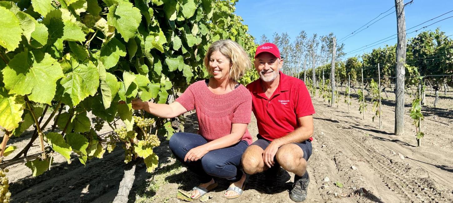 Gitte og Jan Lunde foran vinranke 