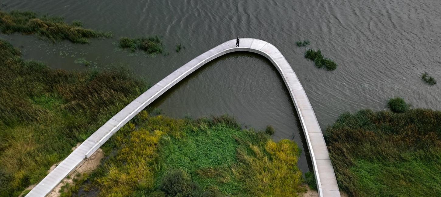 Dronefoto af Filsø Ellipsen