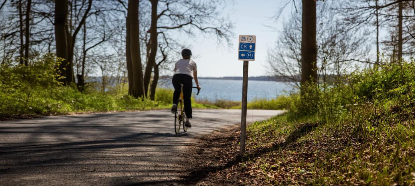 Foto af skilt fra Danmarks Rekreative Cykelnet med cyklist i baggrunden