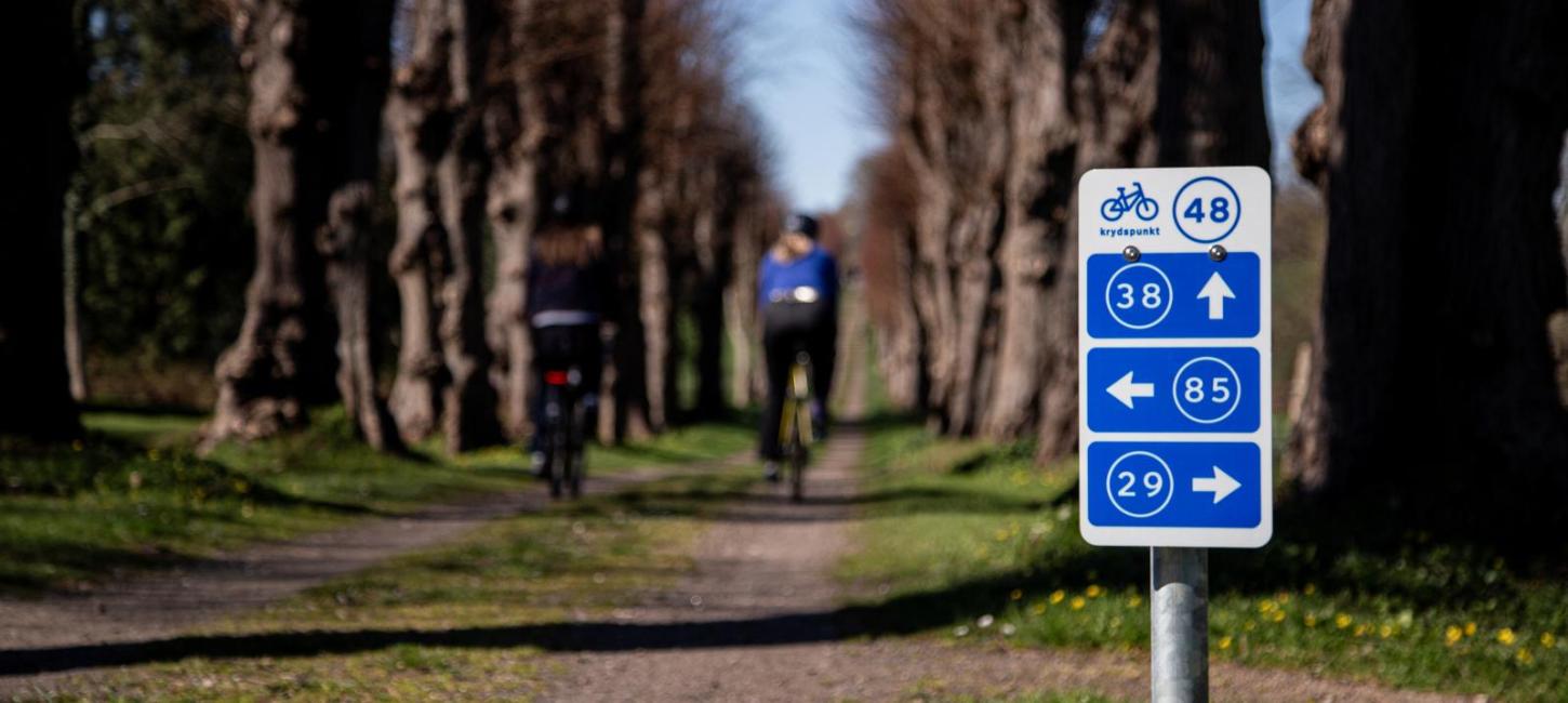 Foto af skilt fra Danmarks Rekreative Cykelnet med to cyklister på en allé 