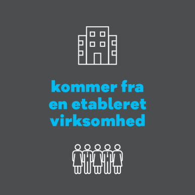 kommer fra en etableret virksomhed