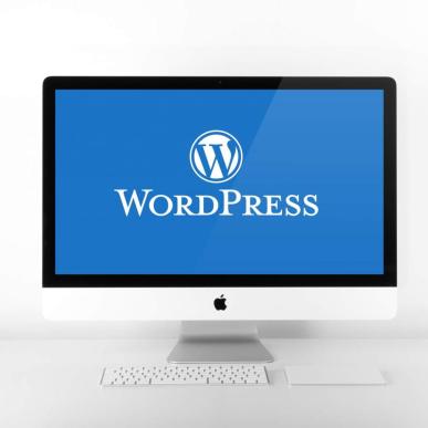 wordpress logo skaerm
