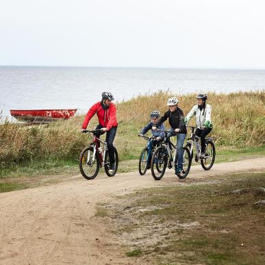 Familie på cykelsti i klitter, Holmsland Klit