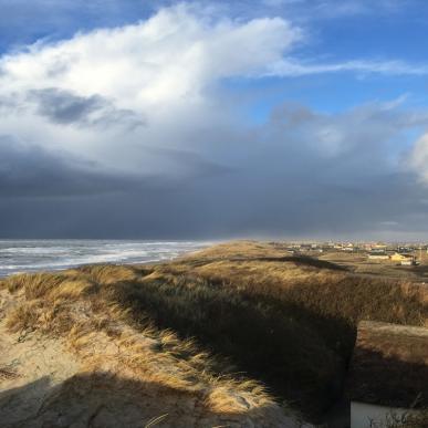 Foto af sommerhuse i Søndervig samt udkig til vesterhavet.